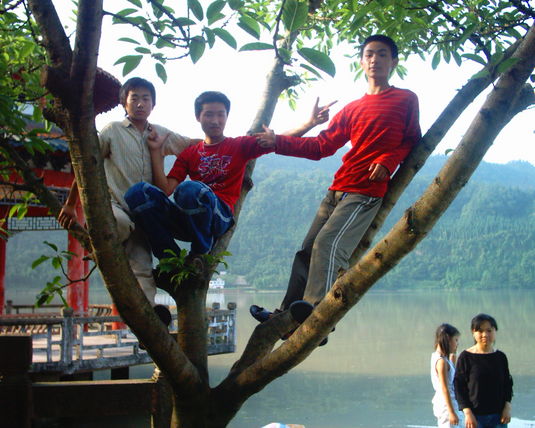 2006  (83)